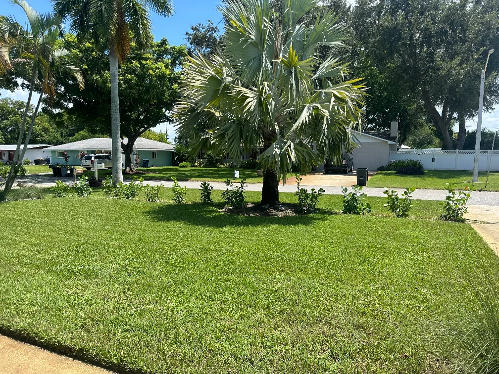 Landscaping & plant install in Manatee County