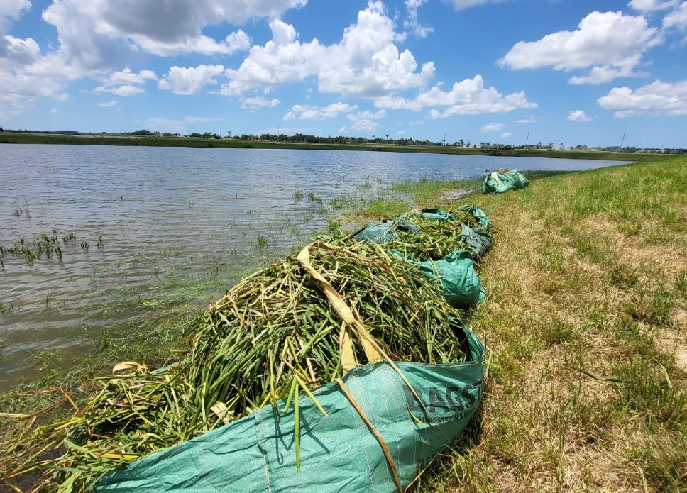 Pond Cleanup for Community Management 